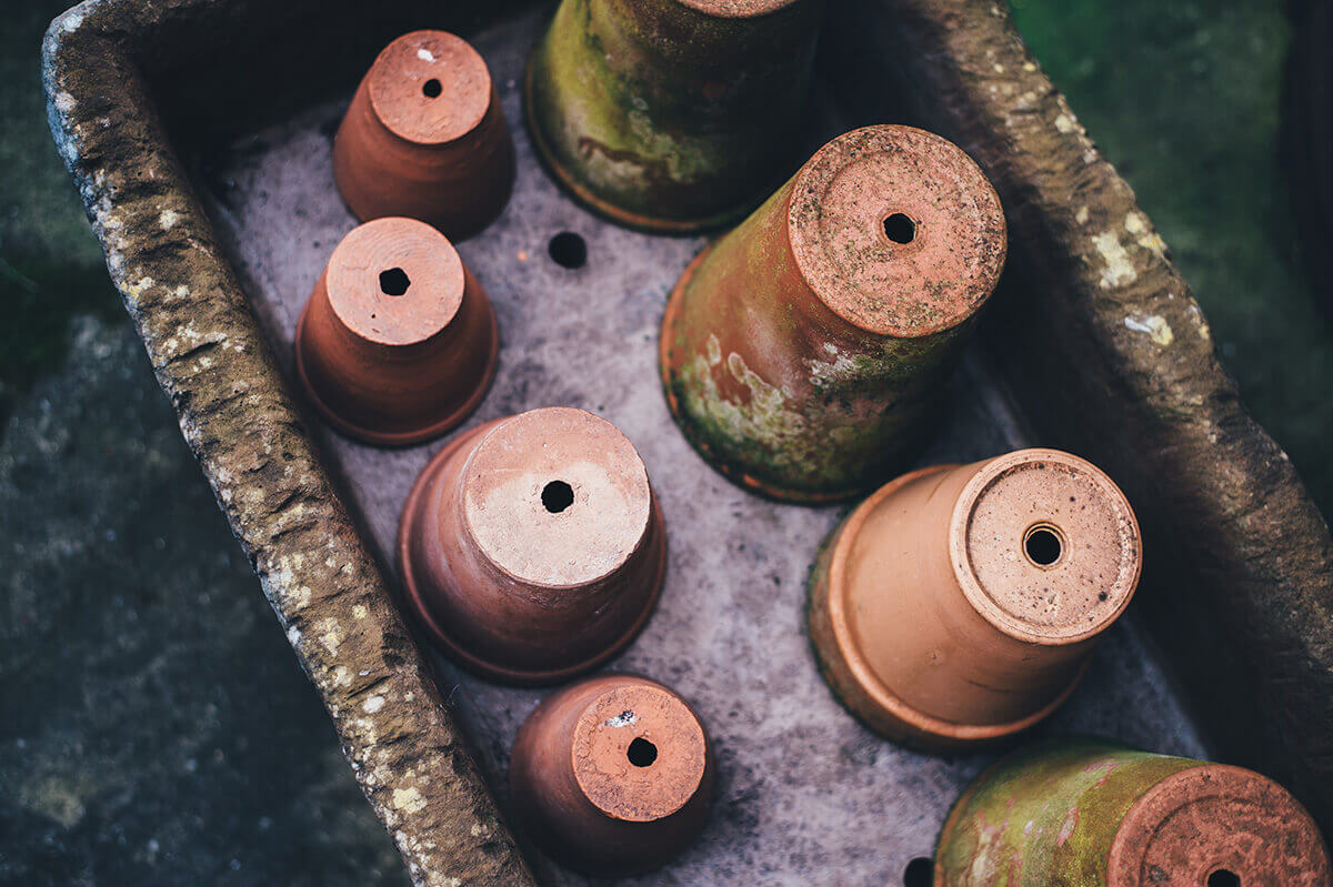 You Can’t go Wrong with a Terracotta Planter!