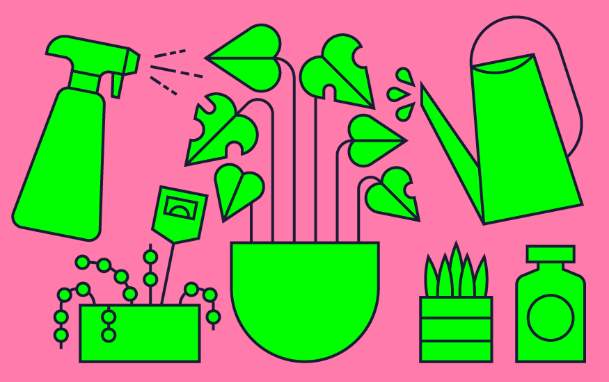 6 Tools That Every Indoor Gardener Needs