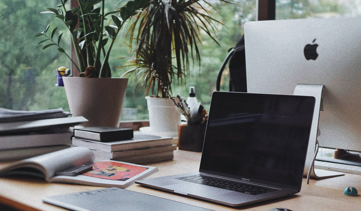 Working From Home: 6 Best Indoor Plants with Major Health Benefits